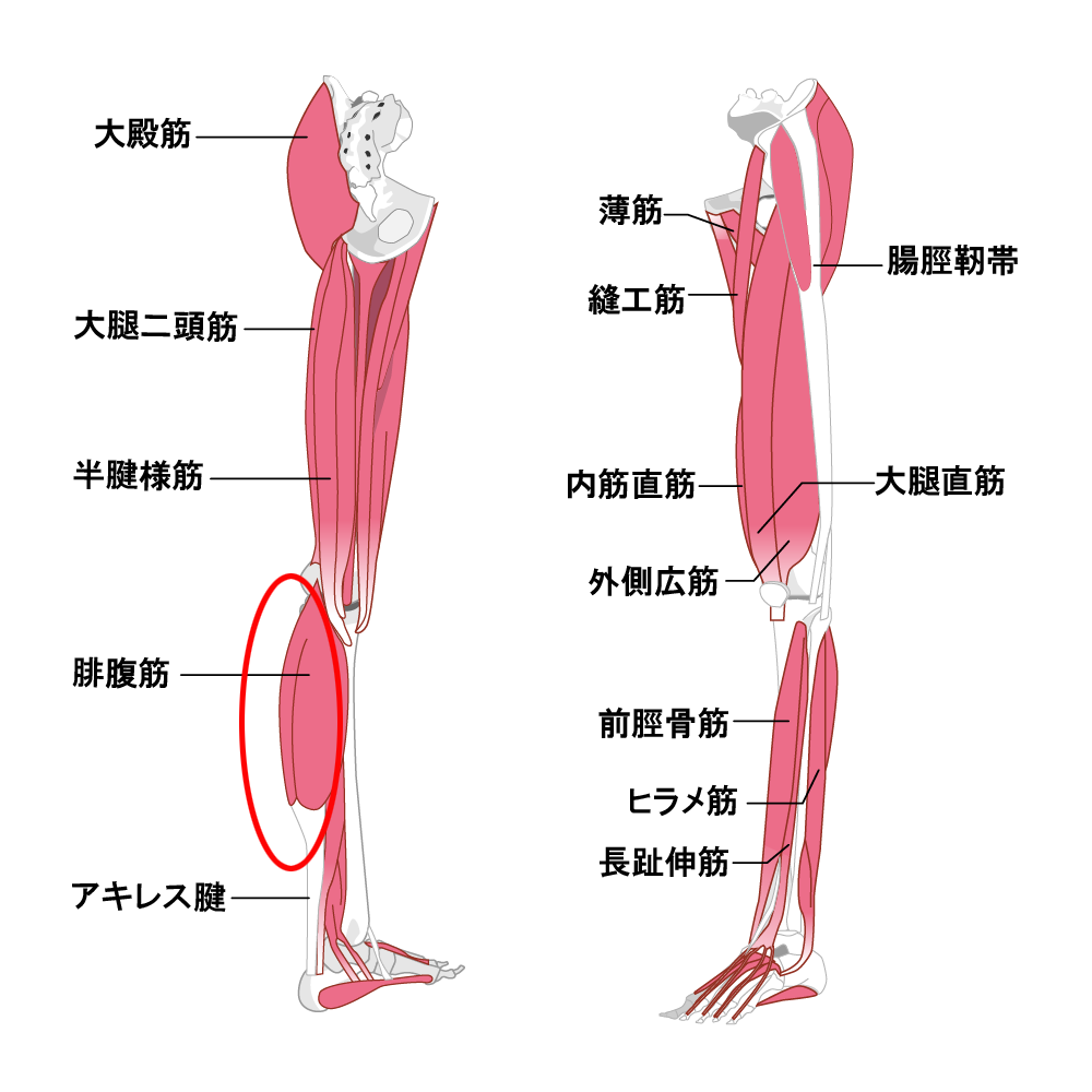 シンスプリント
